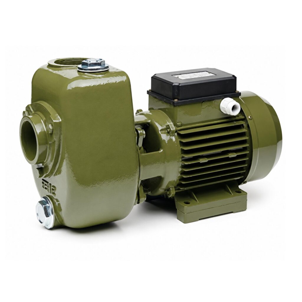 SAER AP/97-B Threaded Centrifugal Pump — 8,300 GPH, 1 HP, 2 In. Ports, 115 Volts