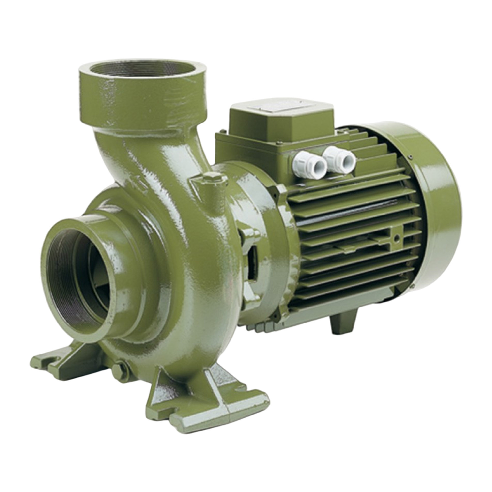 SAER BP Threaded Pumps