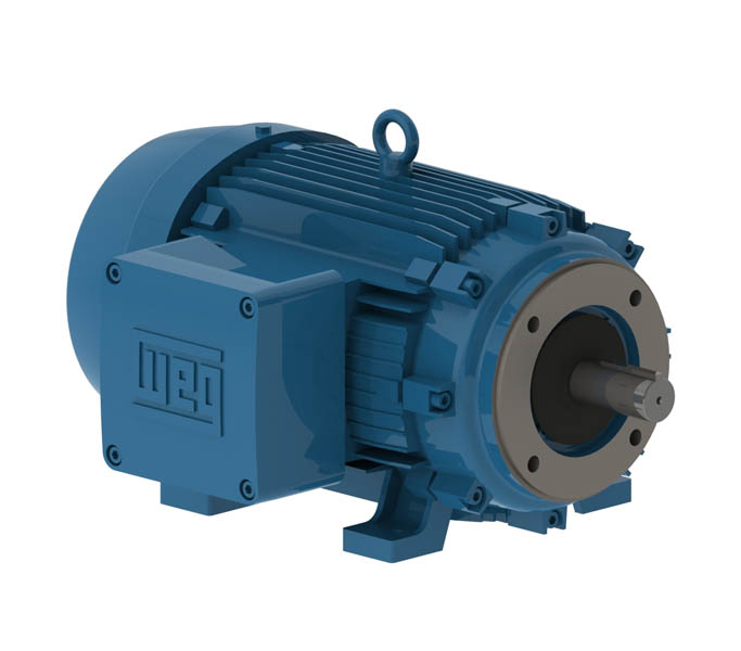 WEG Explosion Proof Motors