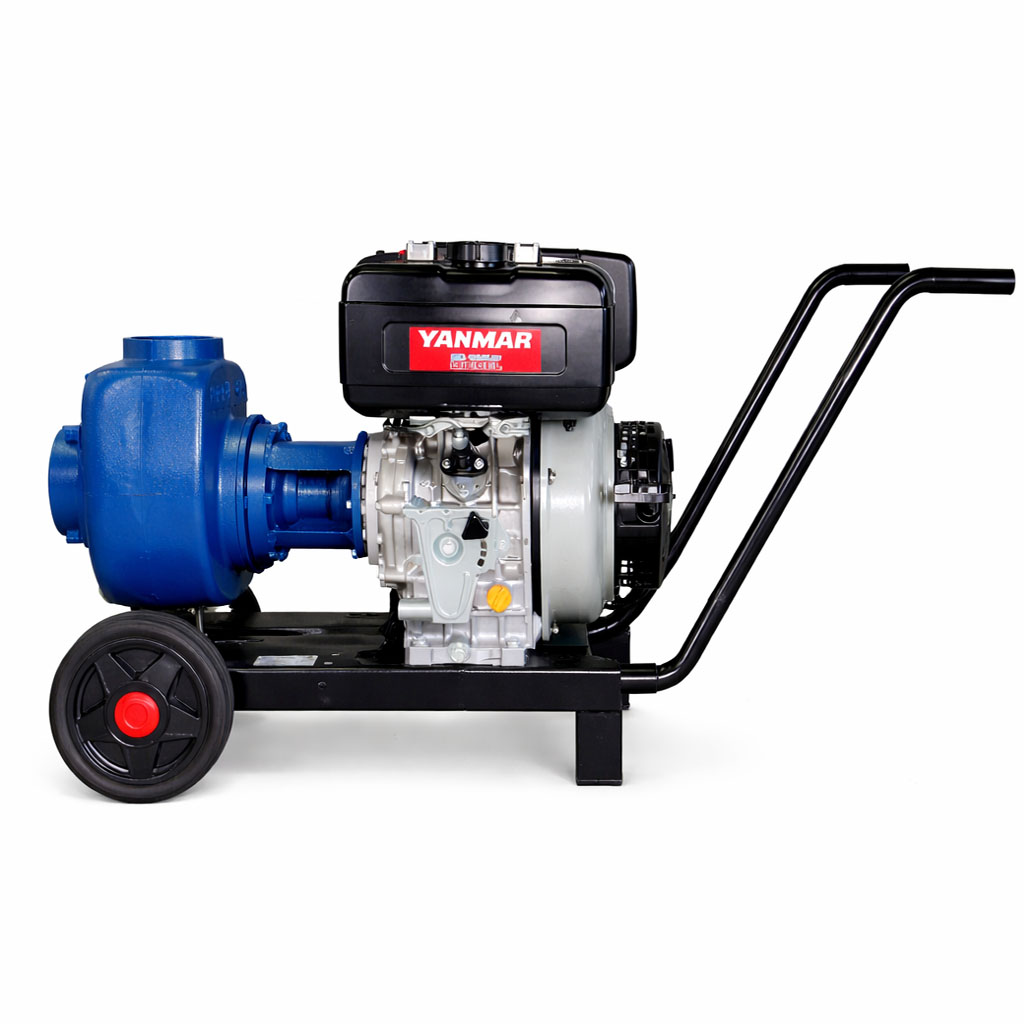 Diesel and Gas Pumps